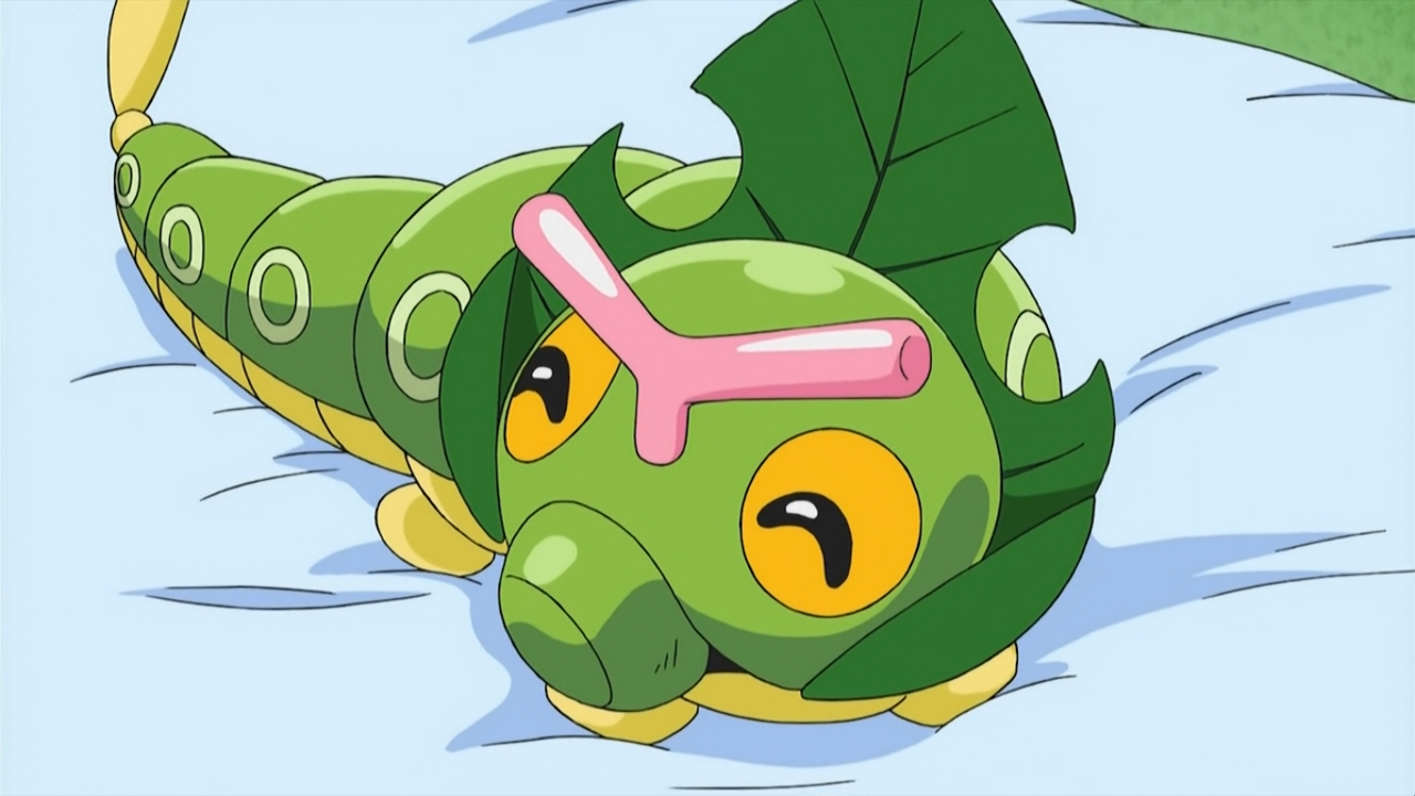 Caterpie resting beneath leaves in an authentic Pokémon anime scene