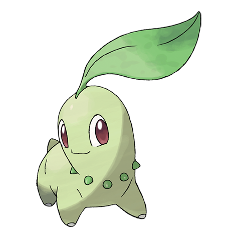 Chikorita in the grass battle arena